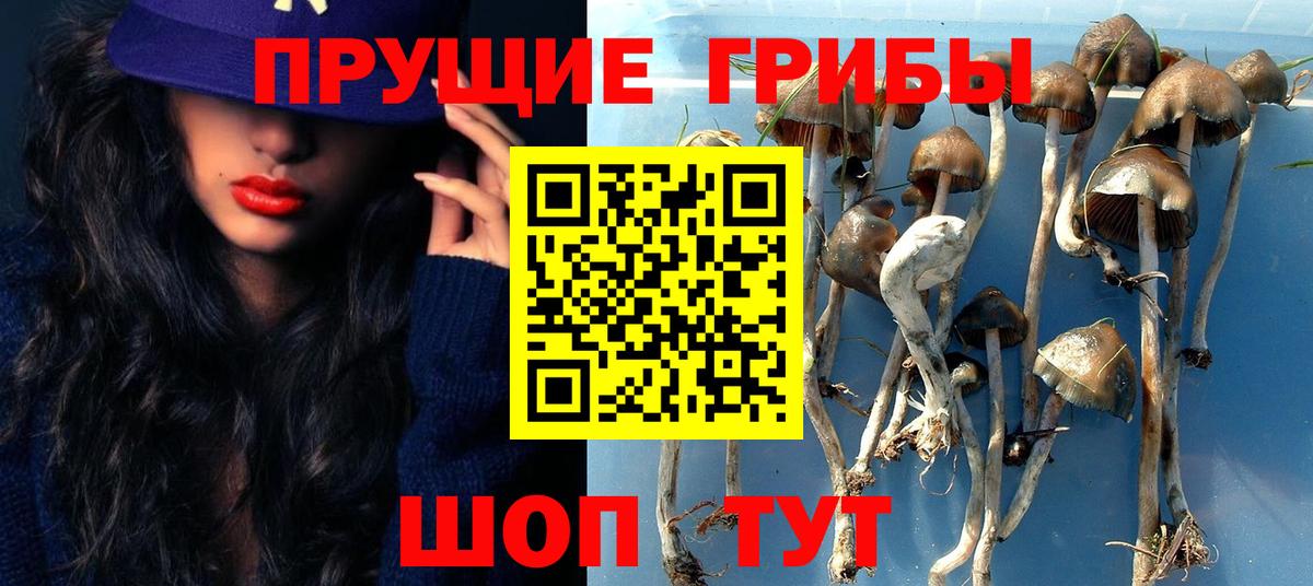 Галлюциногенные грибы ЛСД  Псилоцибиновые грибы Cubensis  Ессентуки  Вход с VPN 